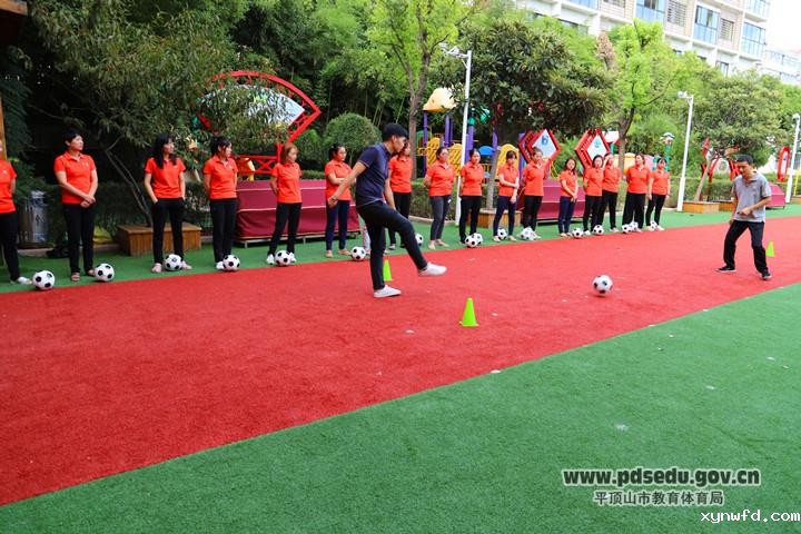 b2d181ef32a14abbab55161ca2f410d7.jpg