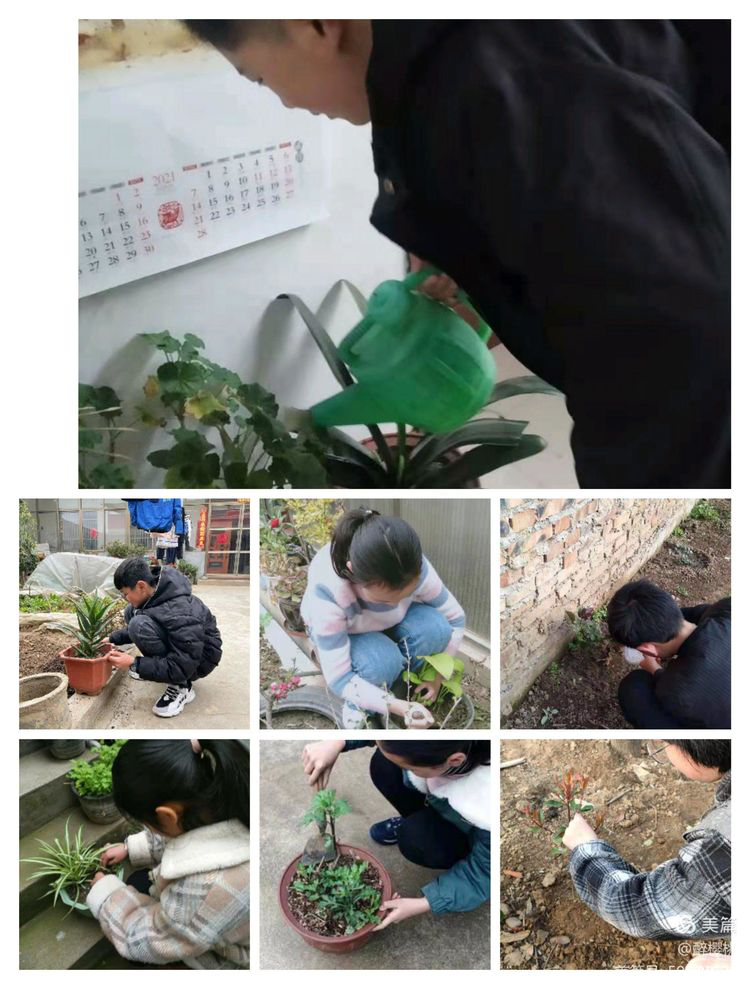图片11.png