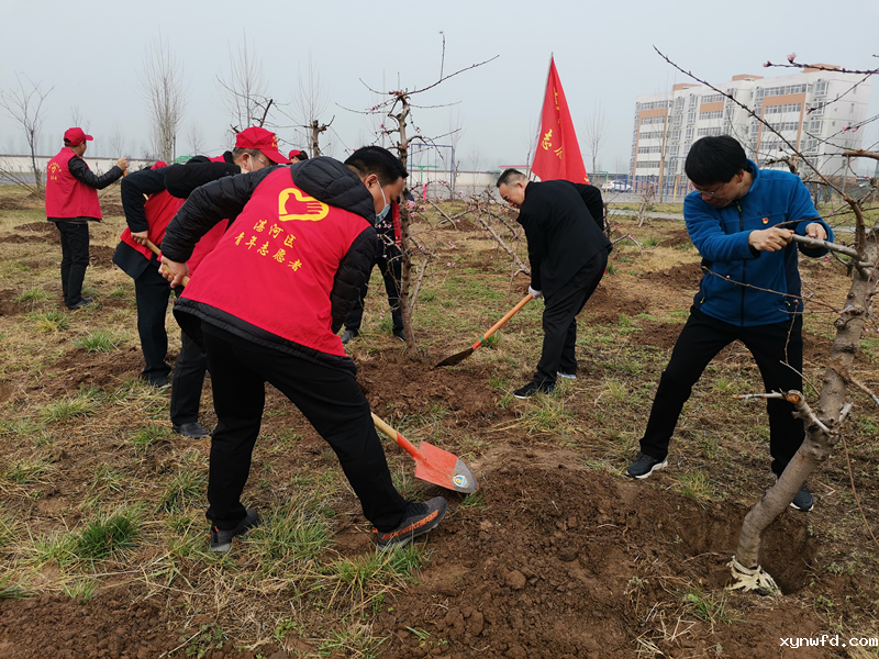 图片20.png