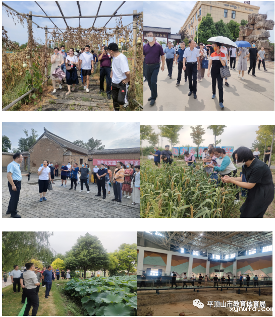 图片7.png