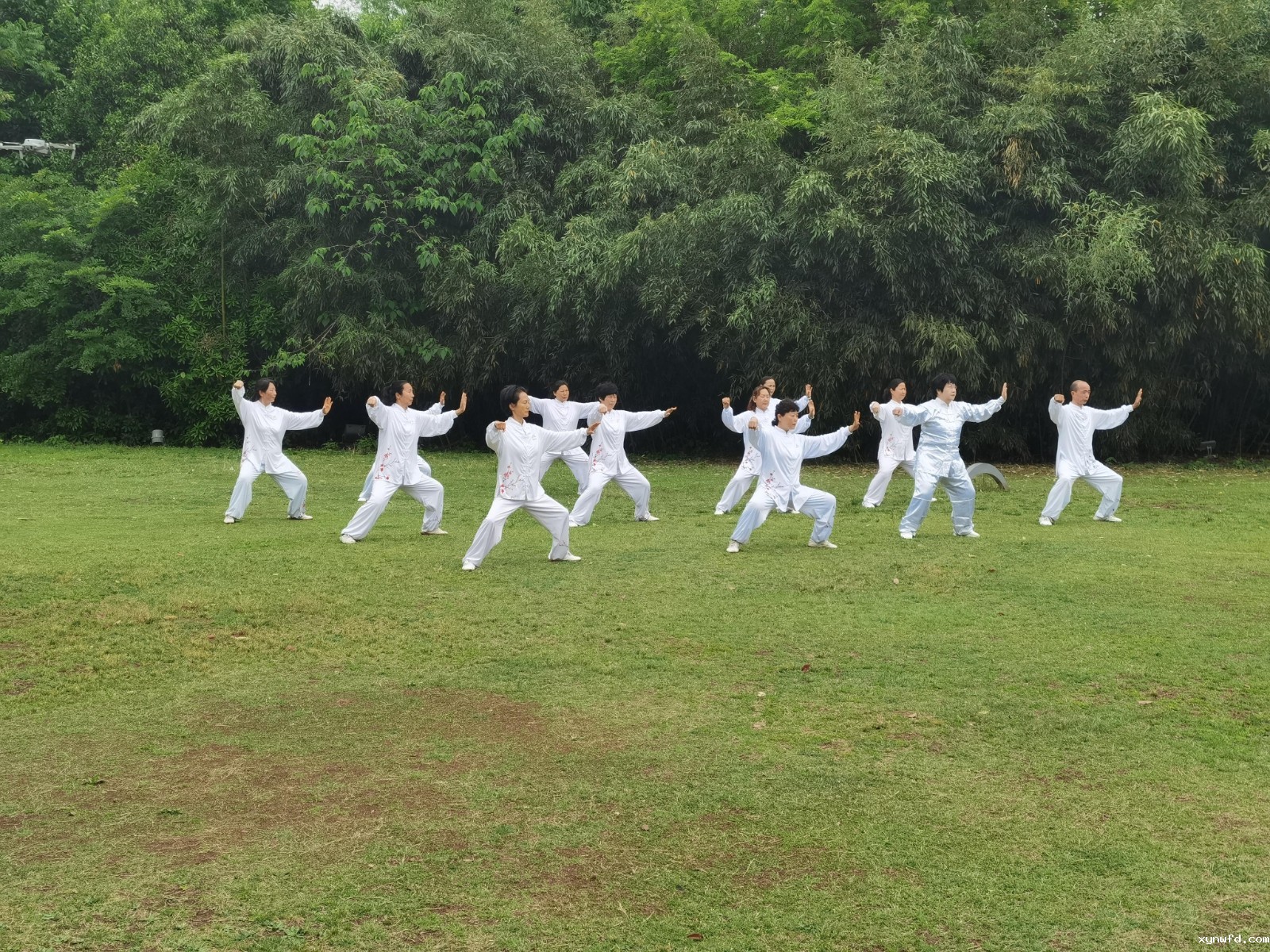 图片8.jpg