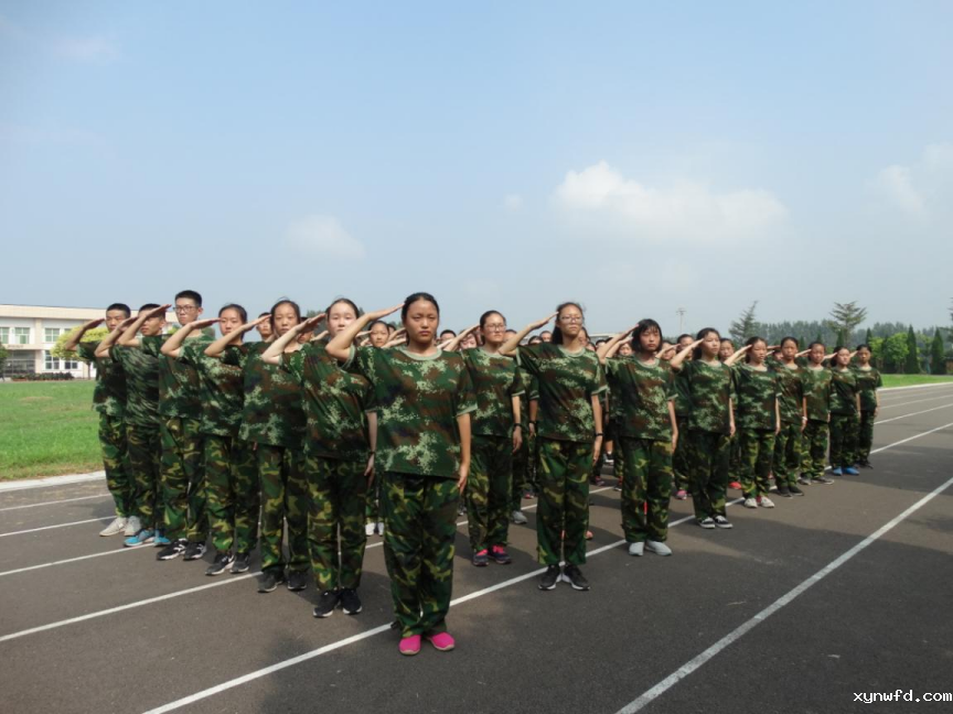 图片5