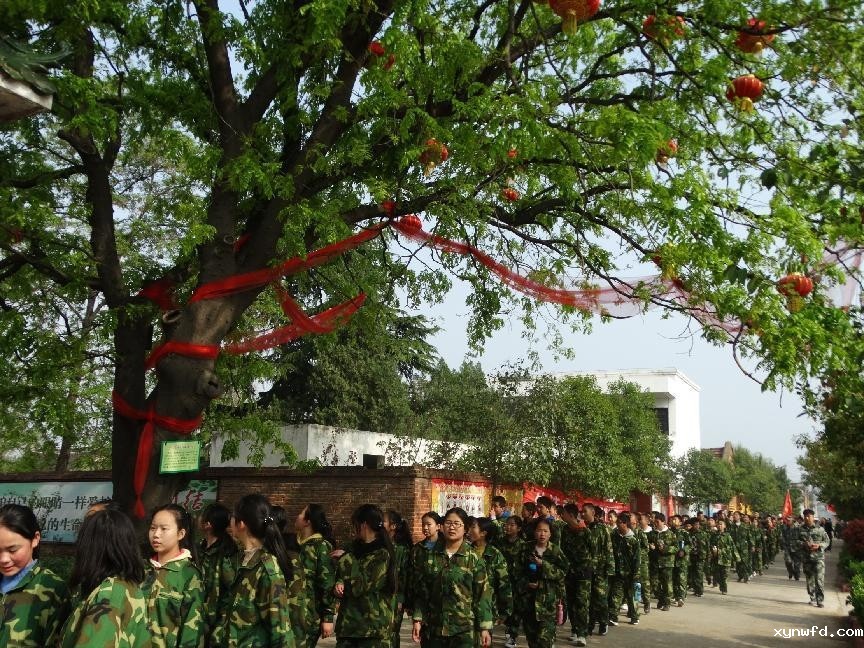 图片1