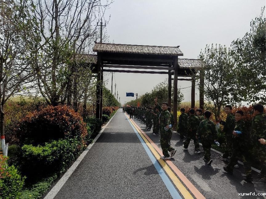图片2