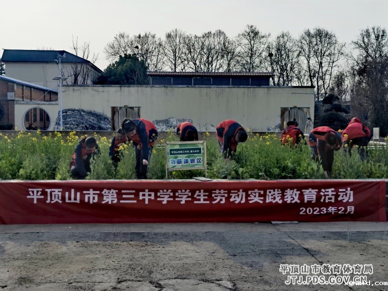 微信图片_20230412175646.jpg