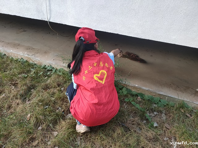图片12.png
