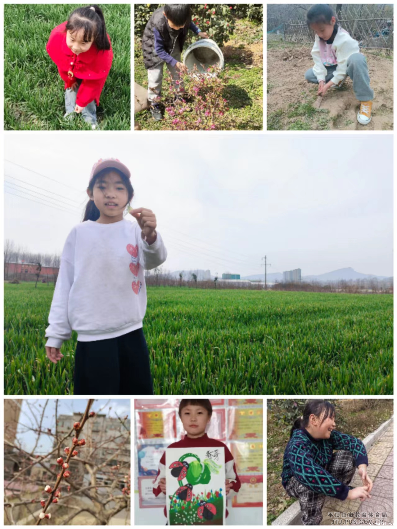 图片257.png
