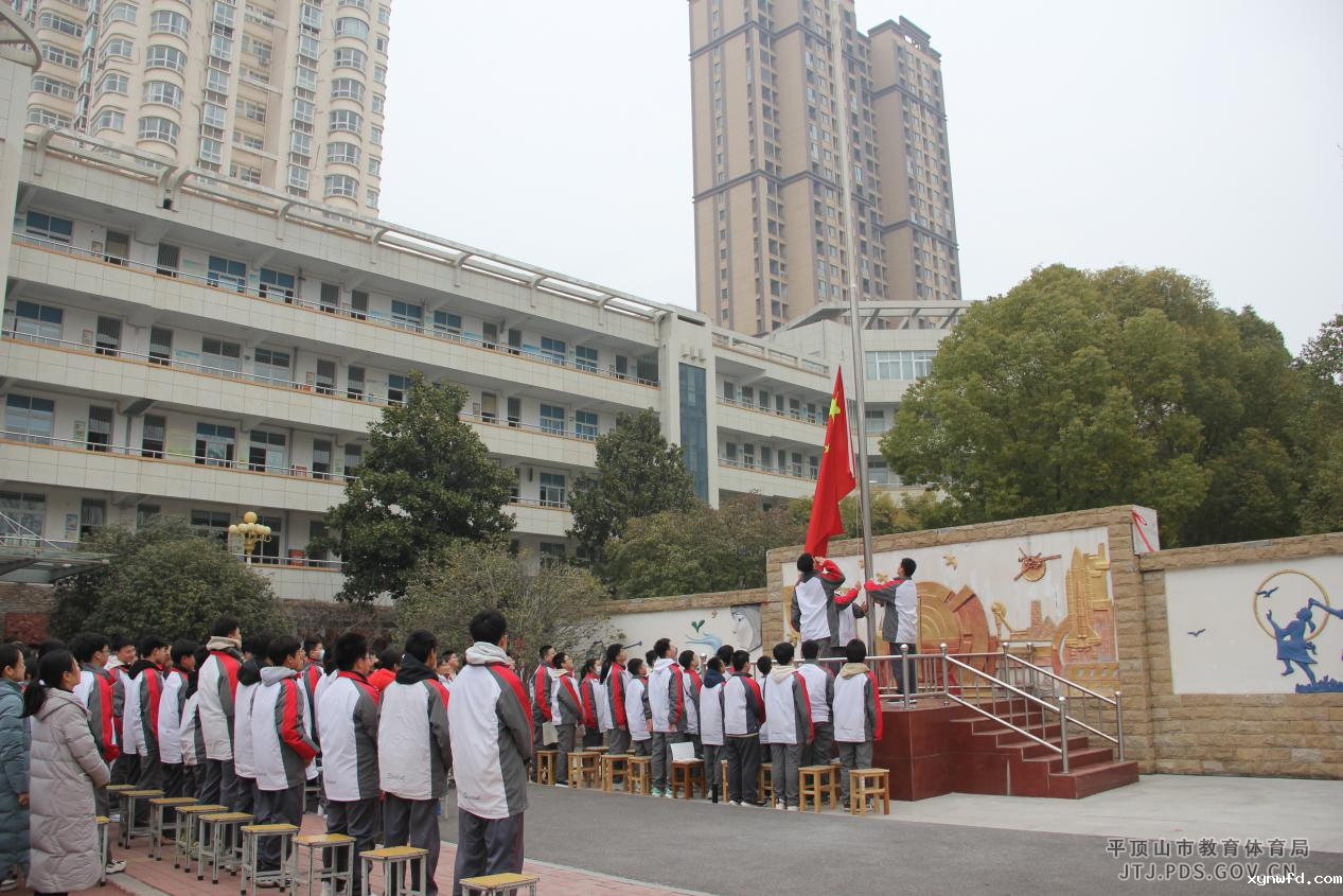 图片115.png