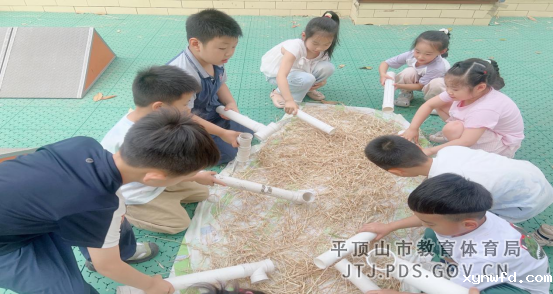 13. 平东幼儿园开展劳动实践活动(2)484.png